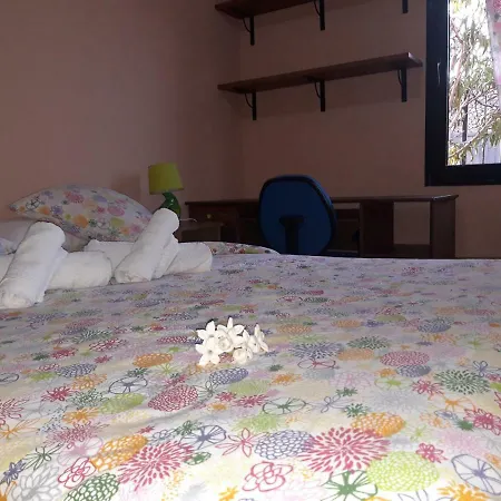 Meu Lar *
